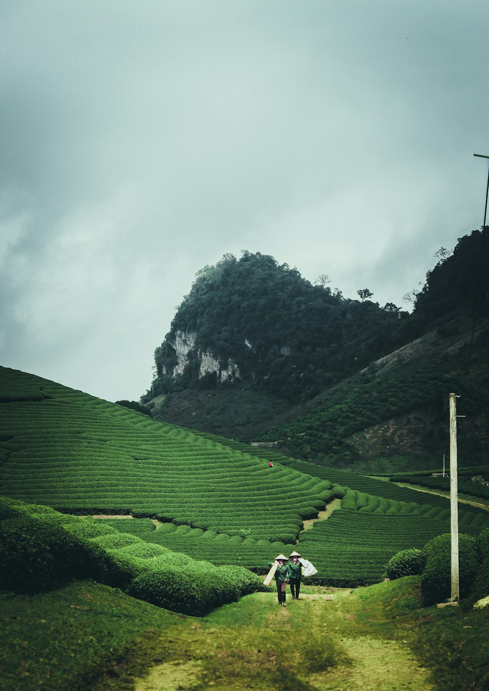 two person walking on grass field under white sky