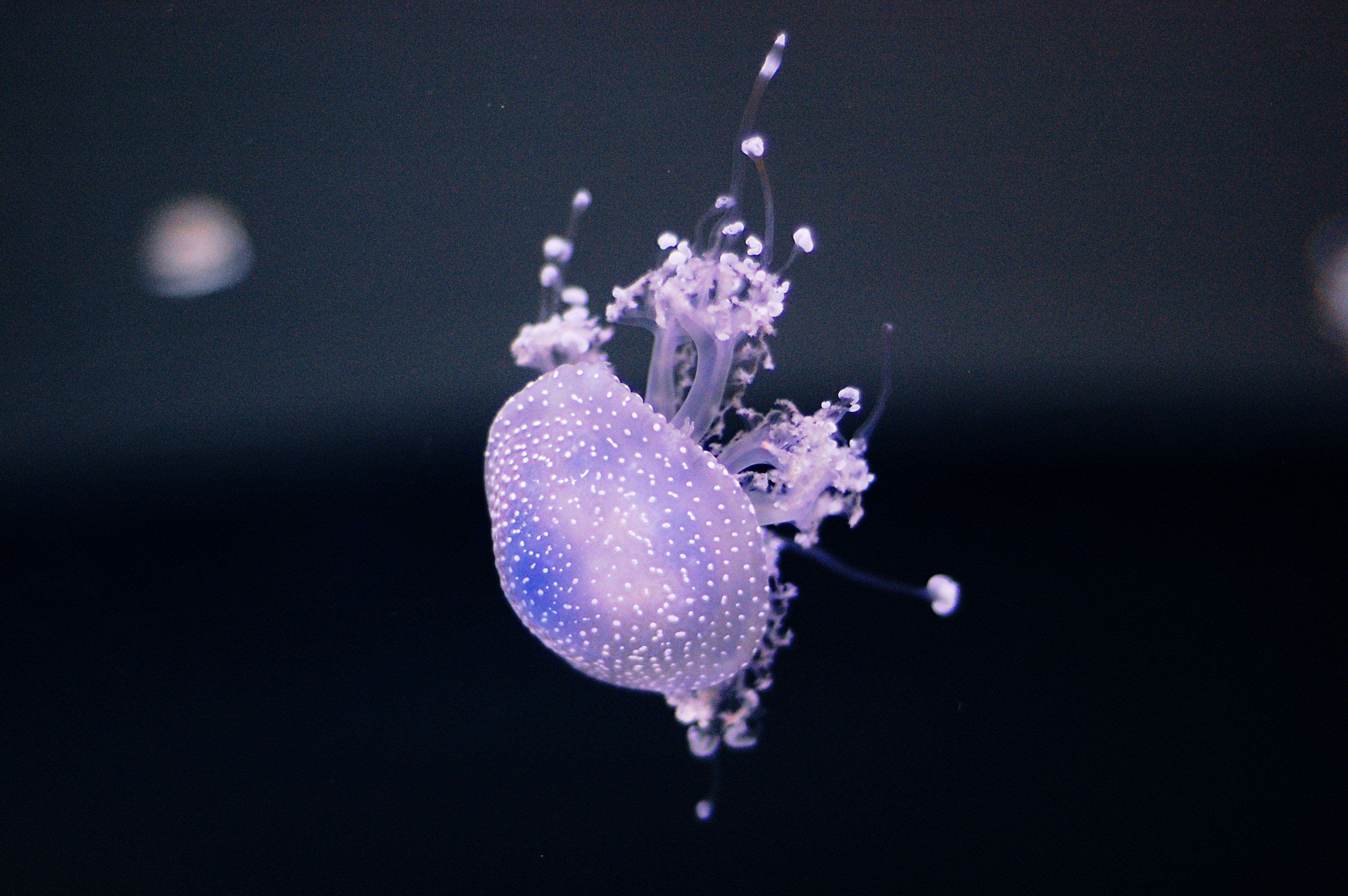 Photo by neoplastycyzm