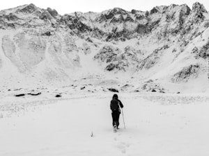 LEKI vs Black Diamond Poles: Best 6?