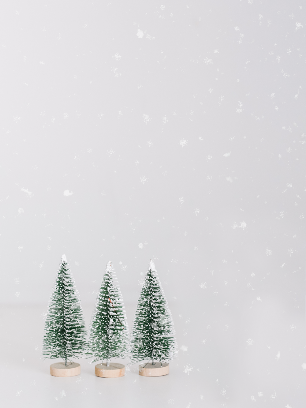 雪の降る天下の緑の松の木