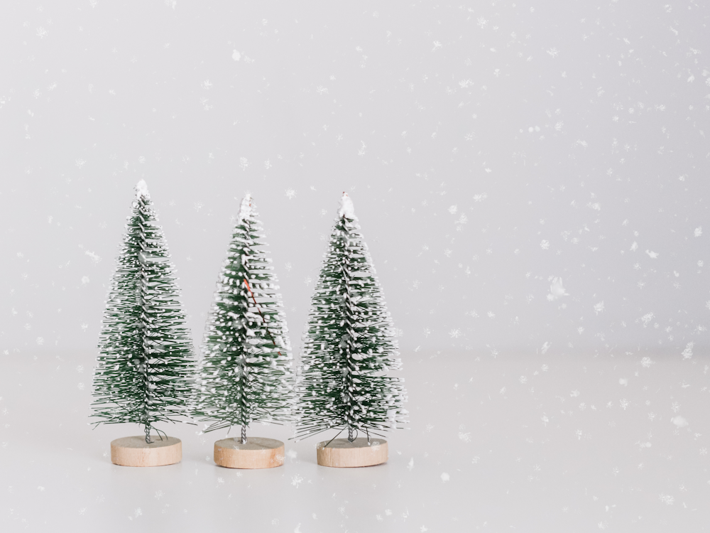 Varias decoraciones de mesa de pino verde y blanco en miniatura
