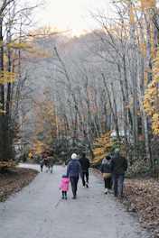 A lively group of seniors walking together on a forest trail during autumn.