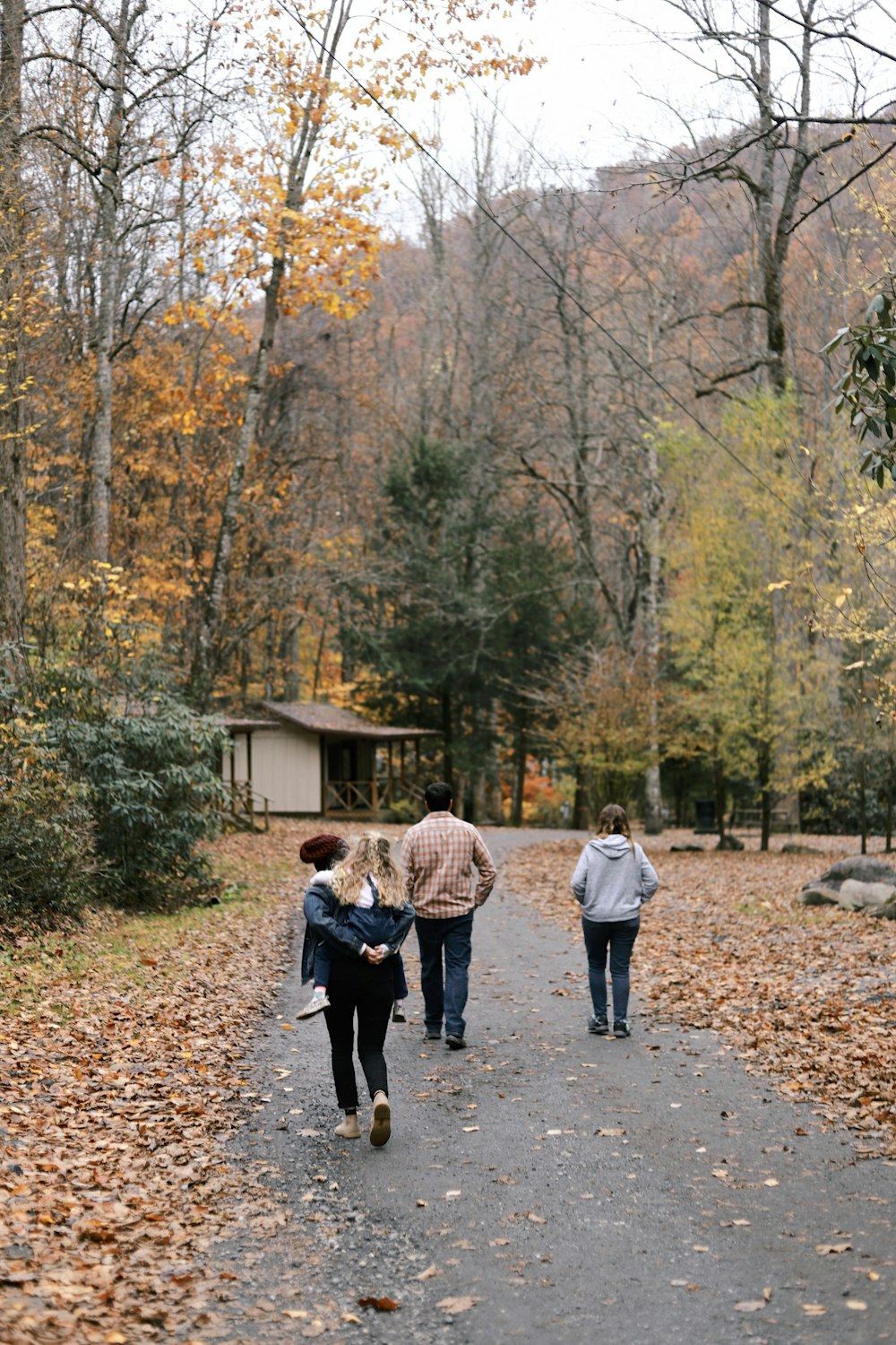 people walking beside trees