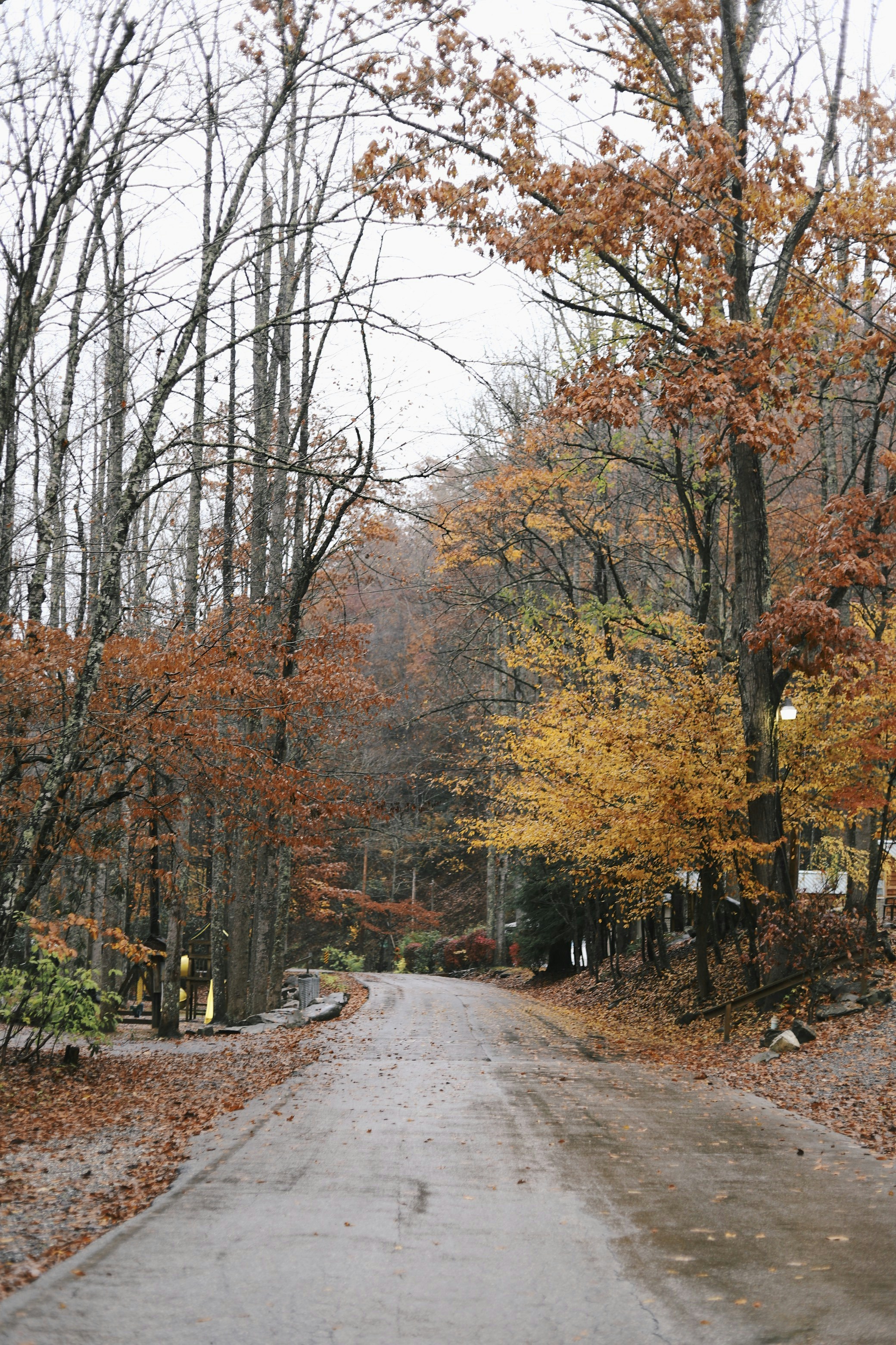 Photo by amyjoyhumphries