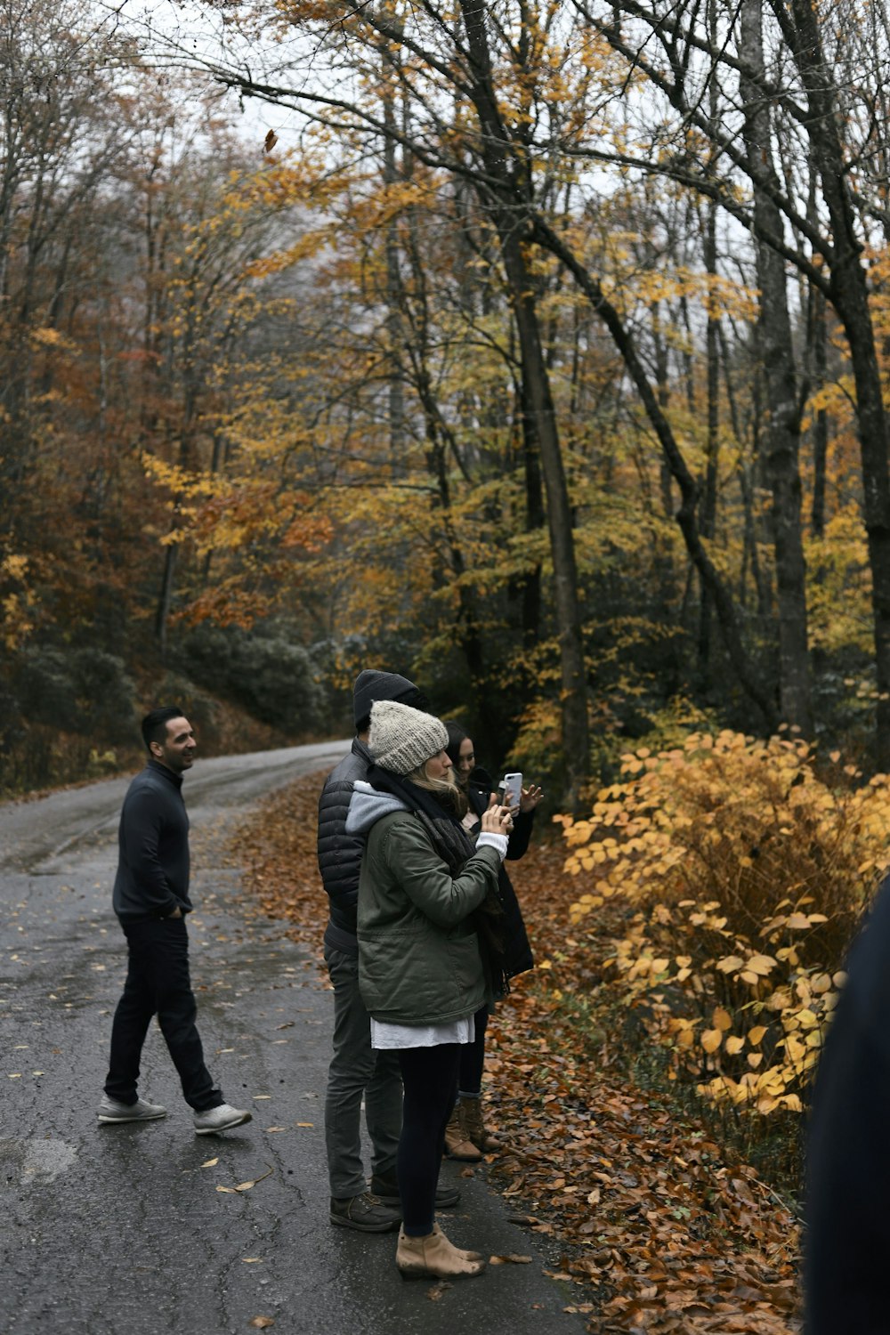 people standing beside plants