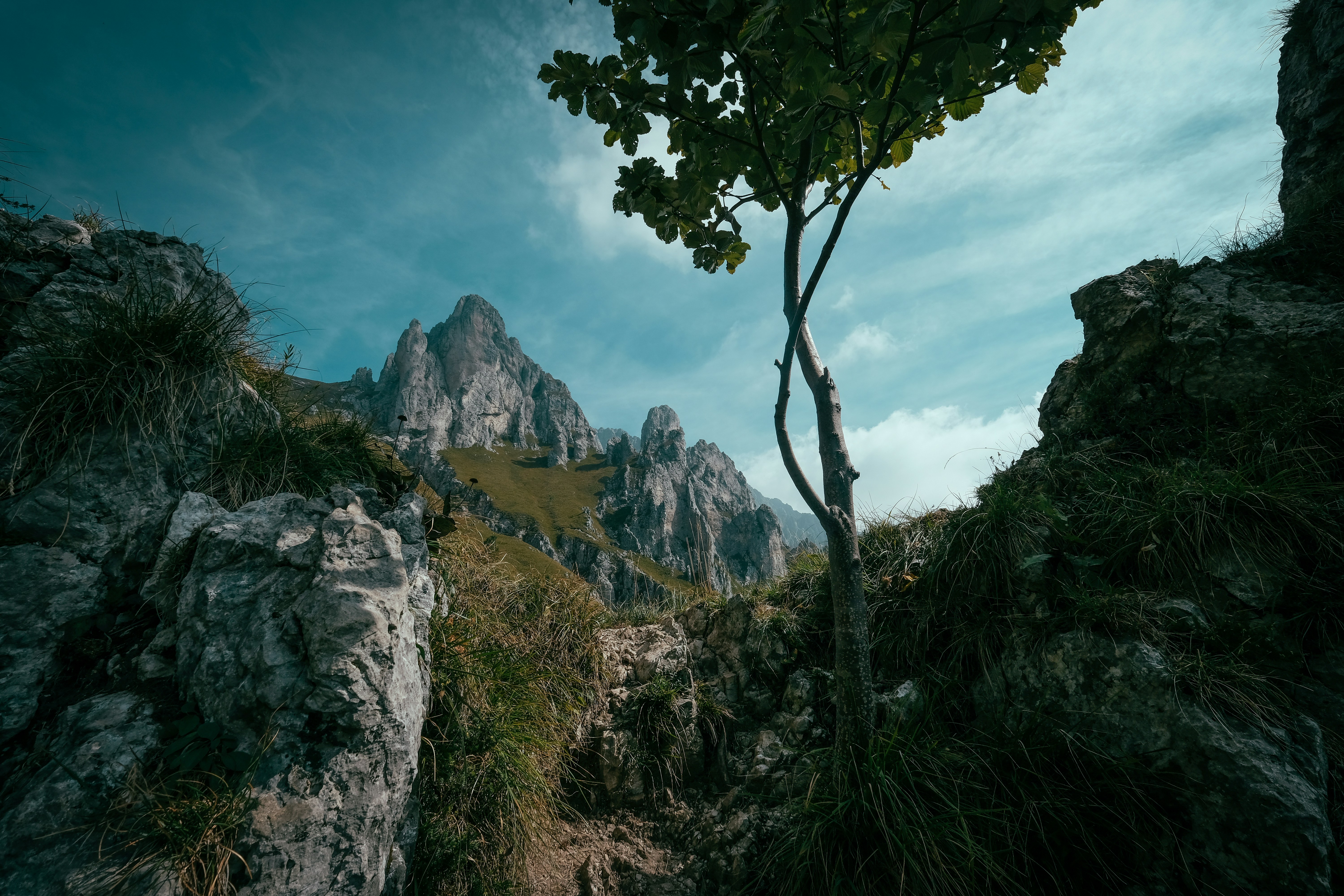 Photo by francesco_ungaro