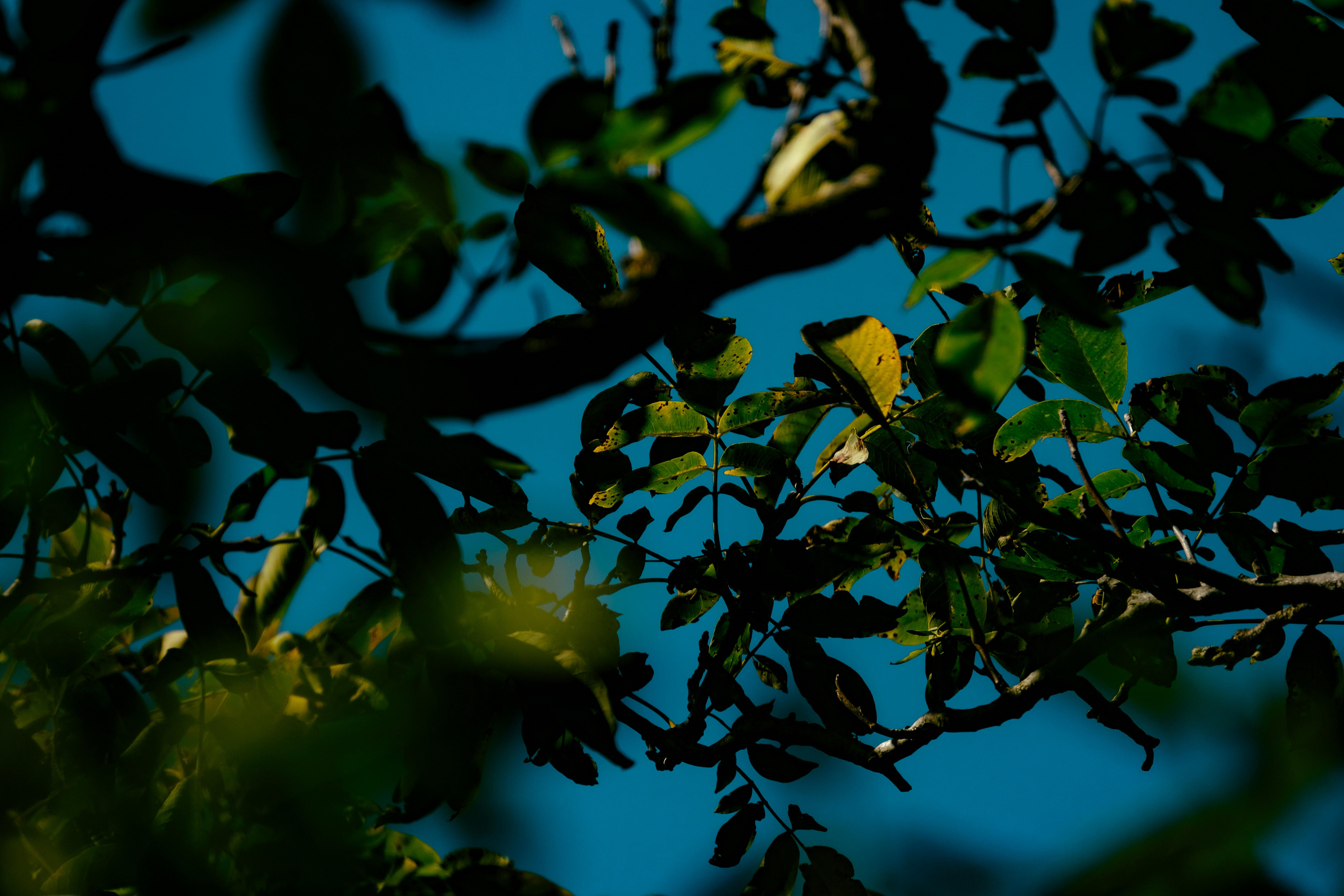 Photo by francesco_ungaro