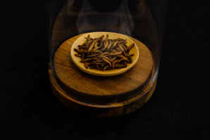 A set of delicate feeding tweezers and live insect containers arranged on a bright surface.