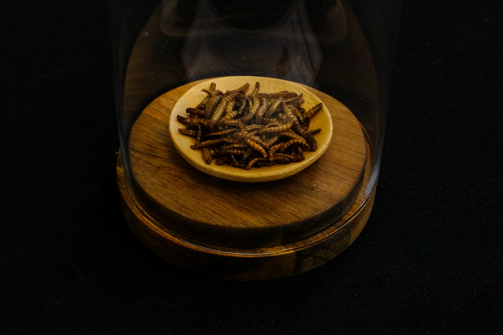 Canned Insectivore Feed