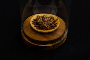 Canned Insectivore Feed