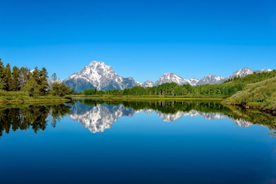 green trees beside body of water lake teams background