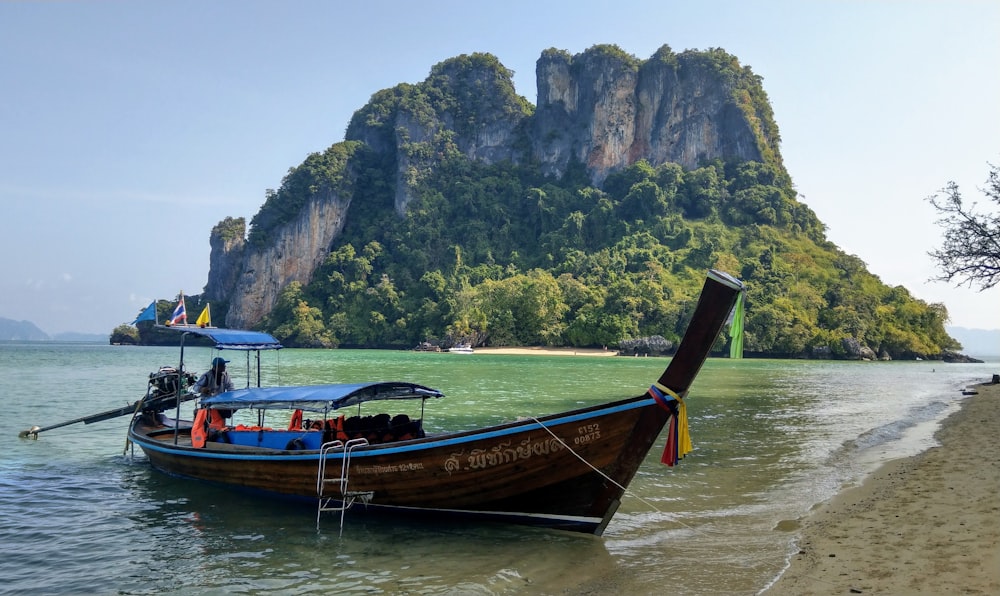 brown boat