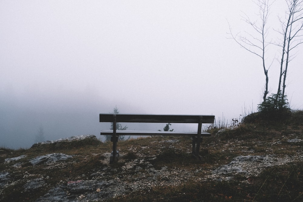 brown wooden bench near brown tree