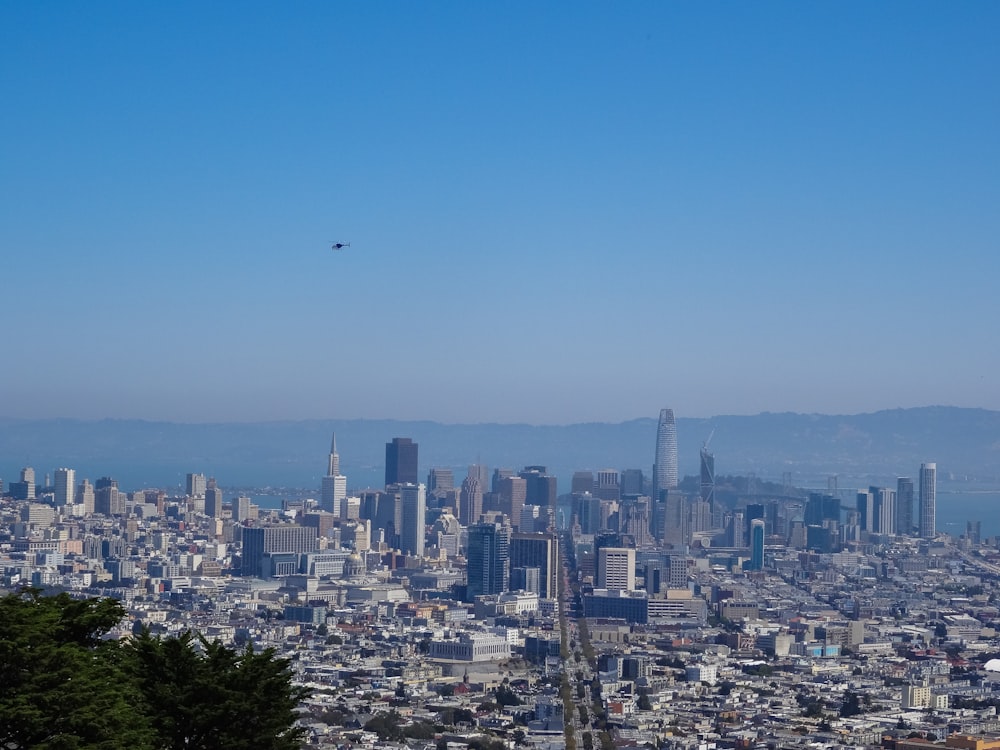 aerial view of city near ocean