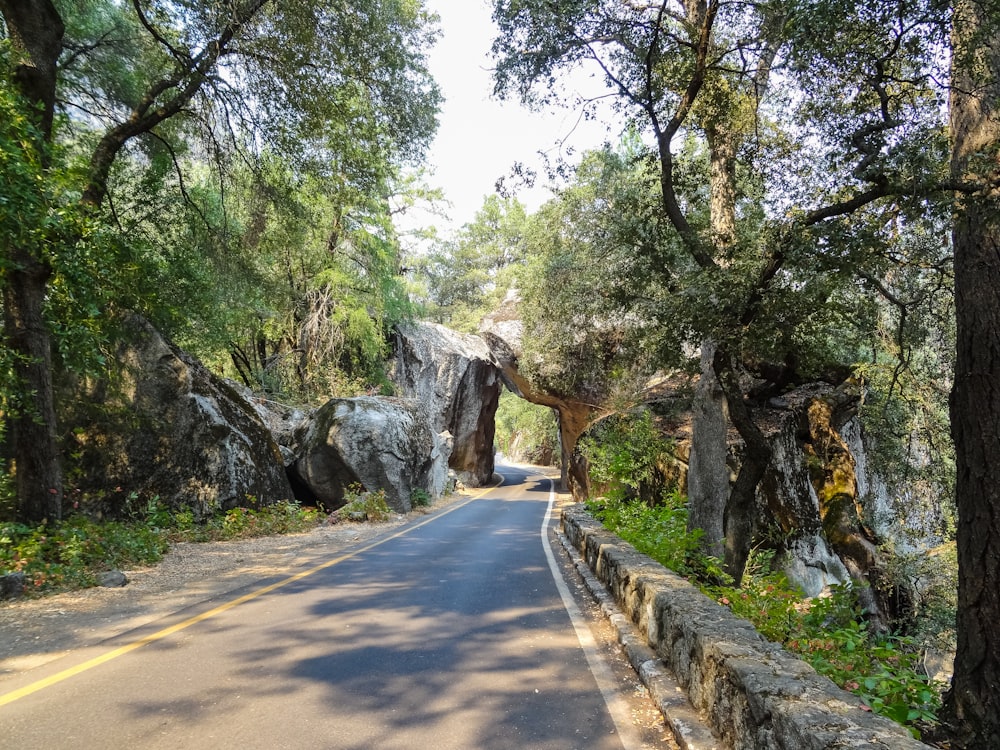 grey road pass under a stone cave with green trees landscape photography