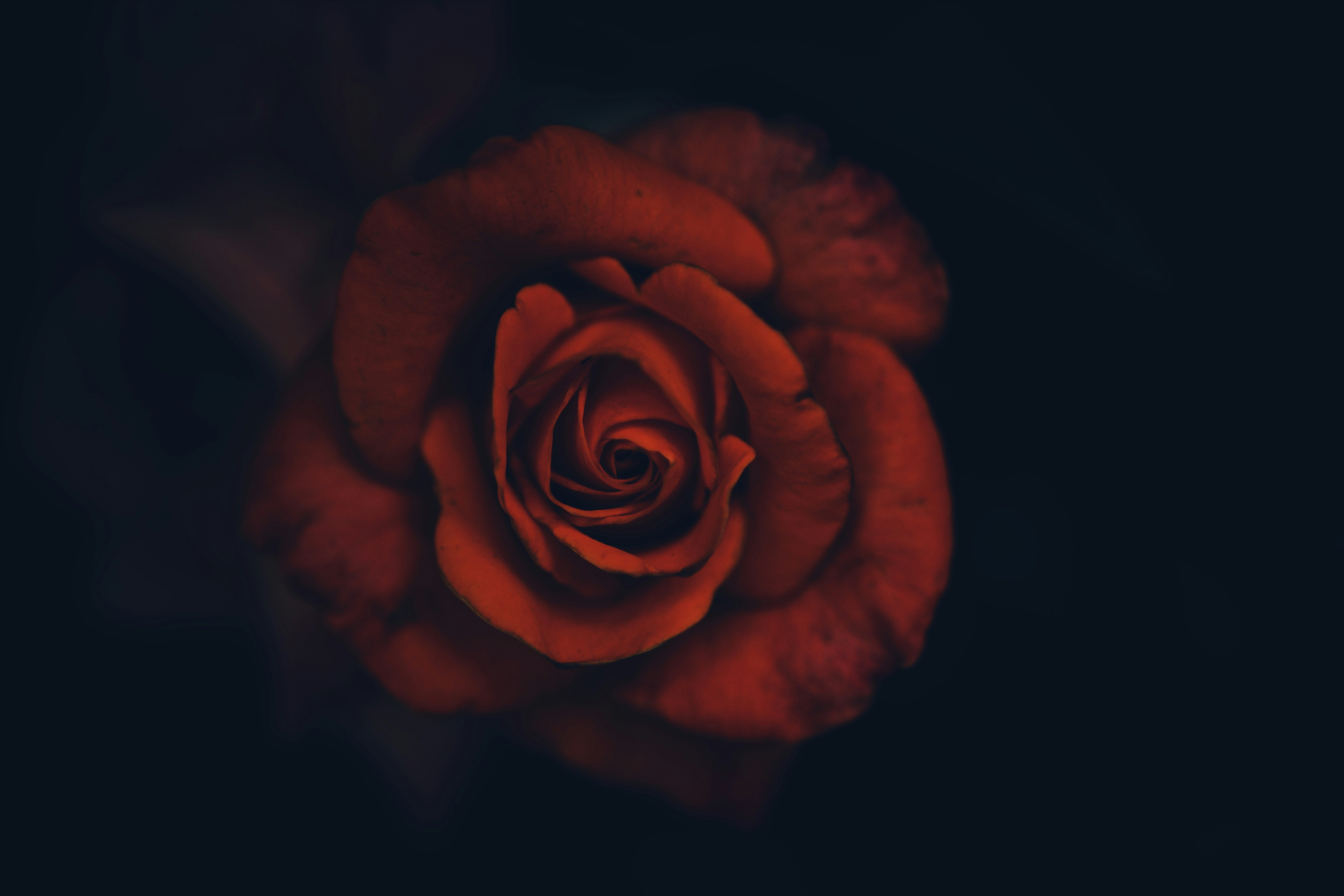 Photo by food_slayer