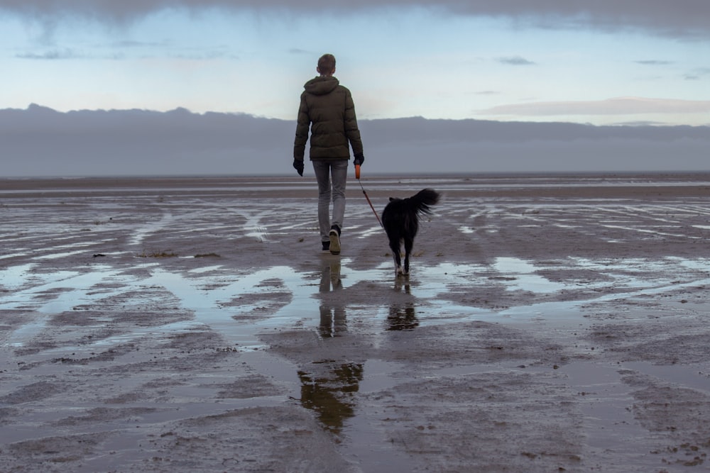 person walking on sand with dog