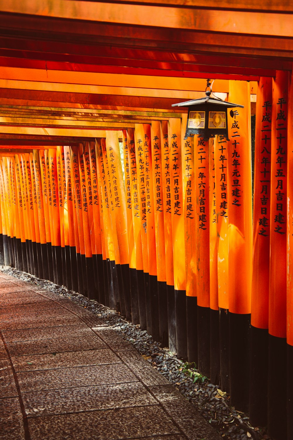 Portes tori orange