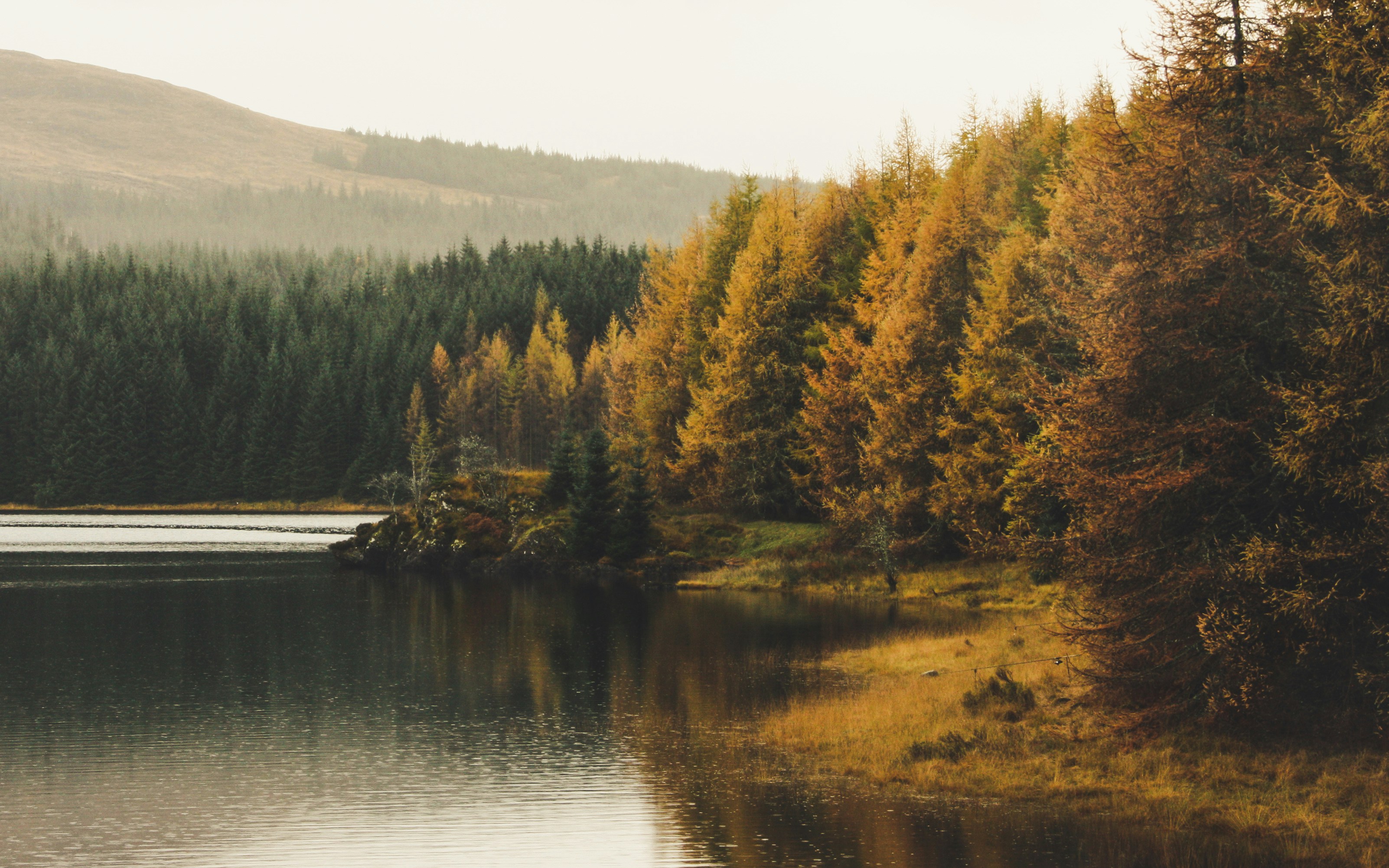 Photo by theverticalstory