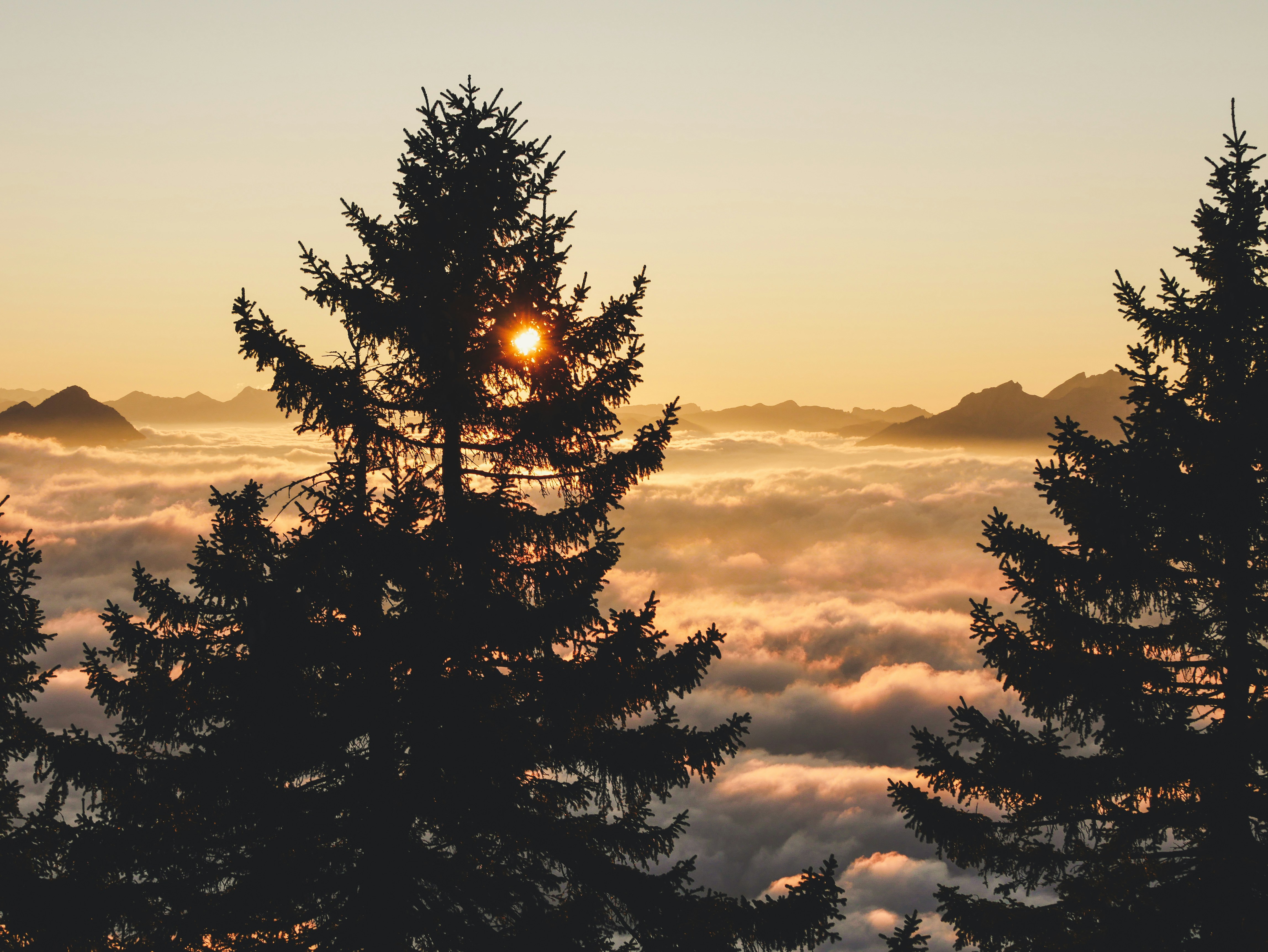 Photo by theverticalstory