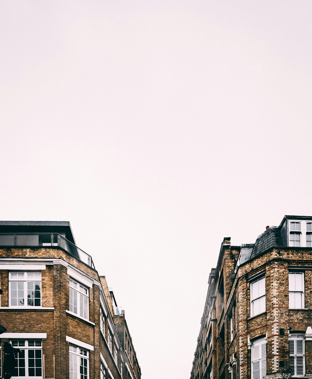 brown and black high-rise buildings