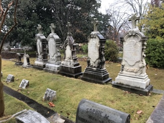 Several ornate stone tombstones with crosses on top are arranged in a row within a cemetery. The tombstones are decorated with intricate carvings and are set on a grassy area. Surrounding the graves are mature trees with sparse foliage, indicating a late autumn or early winter setting. Fallen leaves are scattered on the ground.