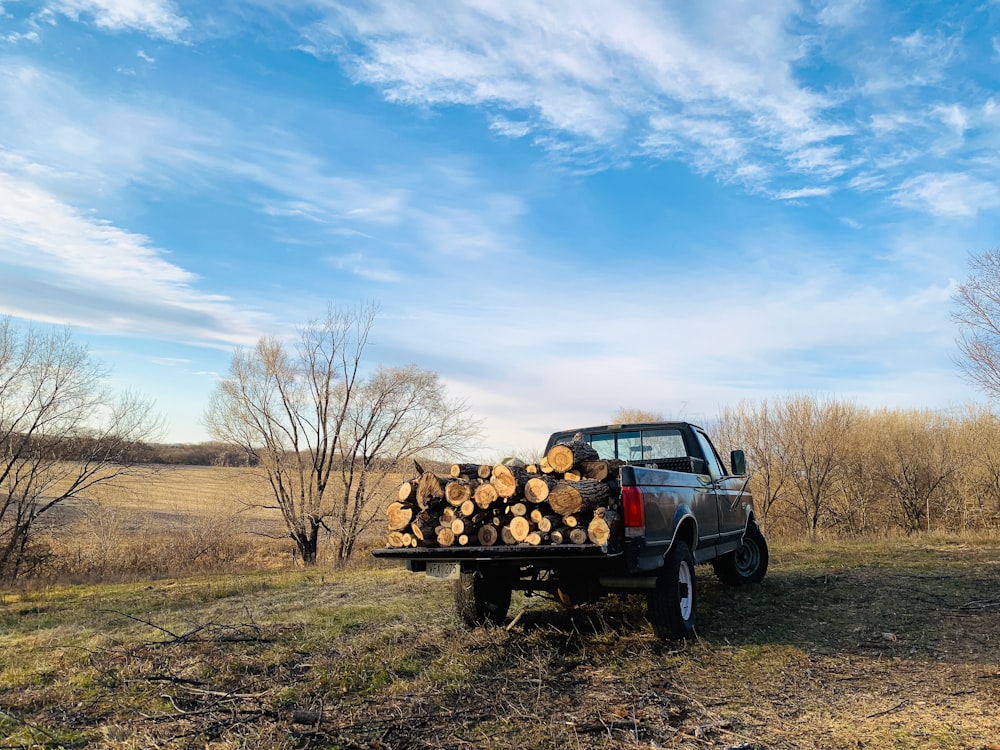 black single cab pickup truck with brown wood logs