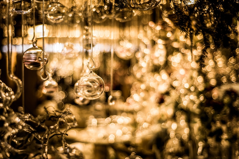 selective focus photography of gold-colored hanging decor with string lights