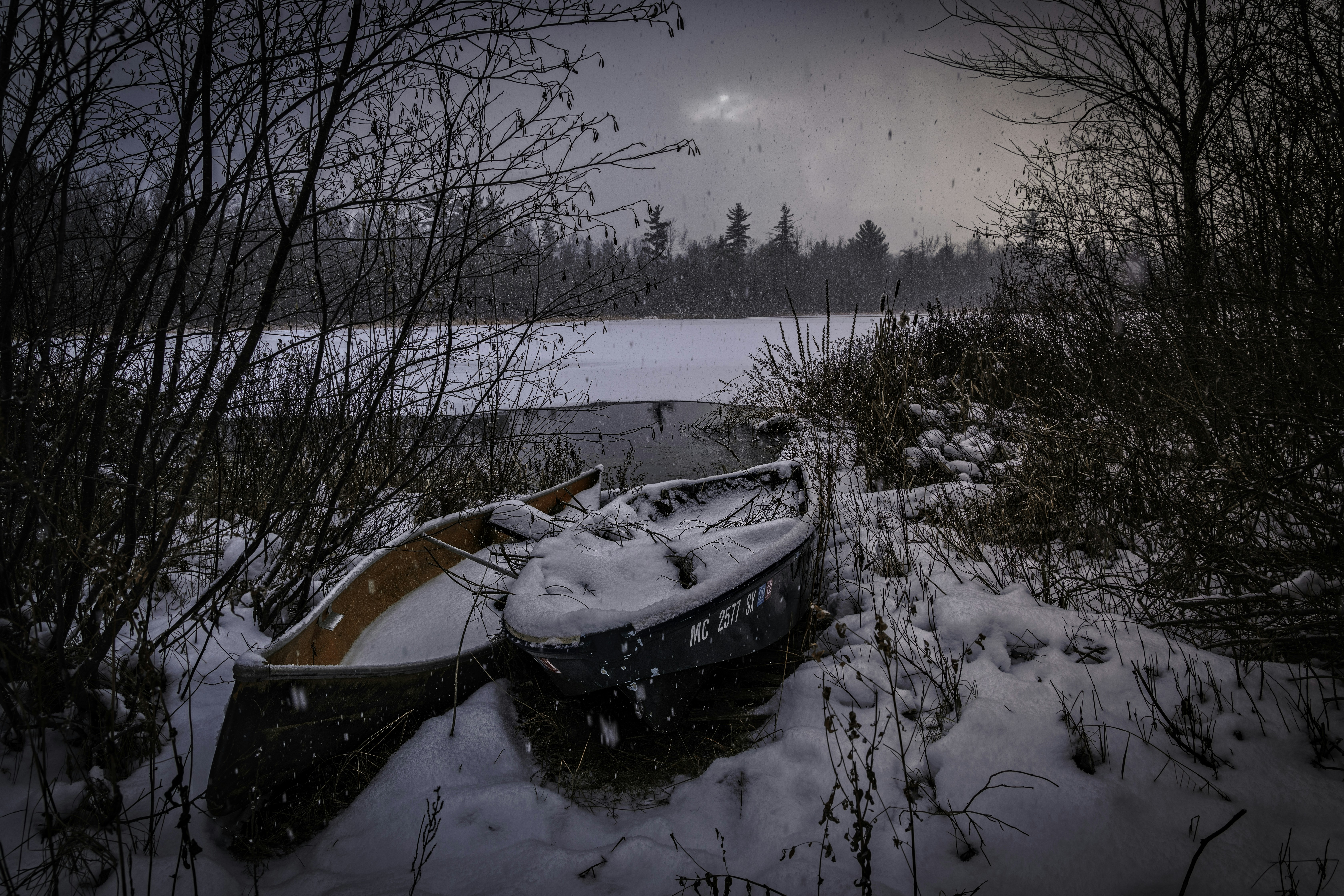 two black and brown canoes near trees snowbound teams background