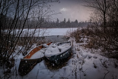 two black and brown canoes near trees snowbound teams background