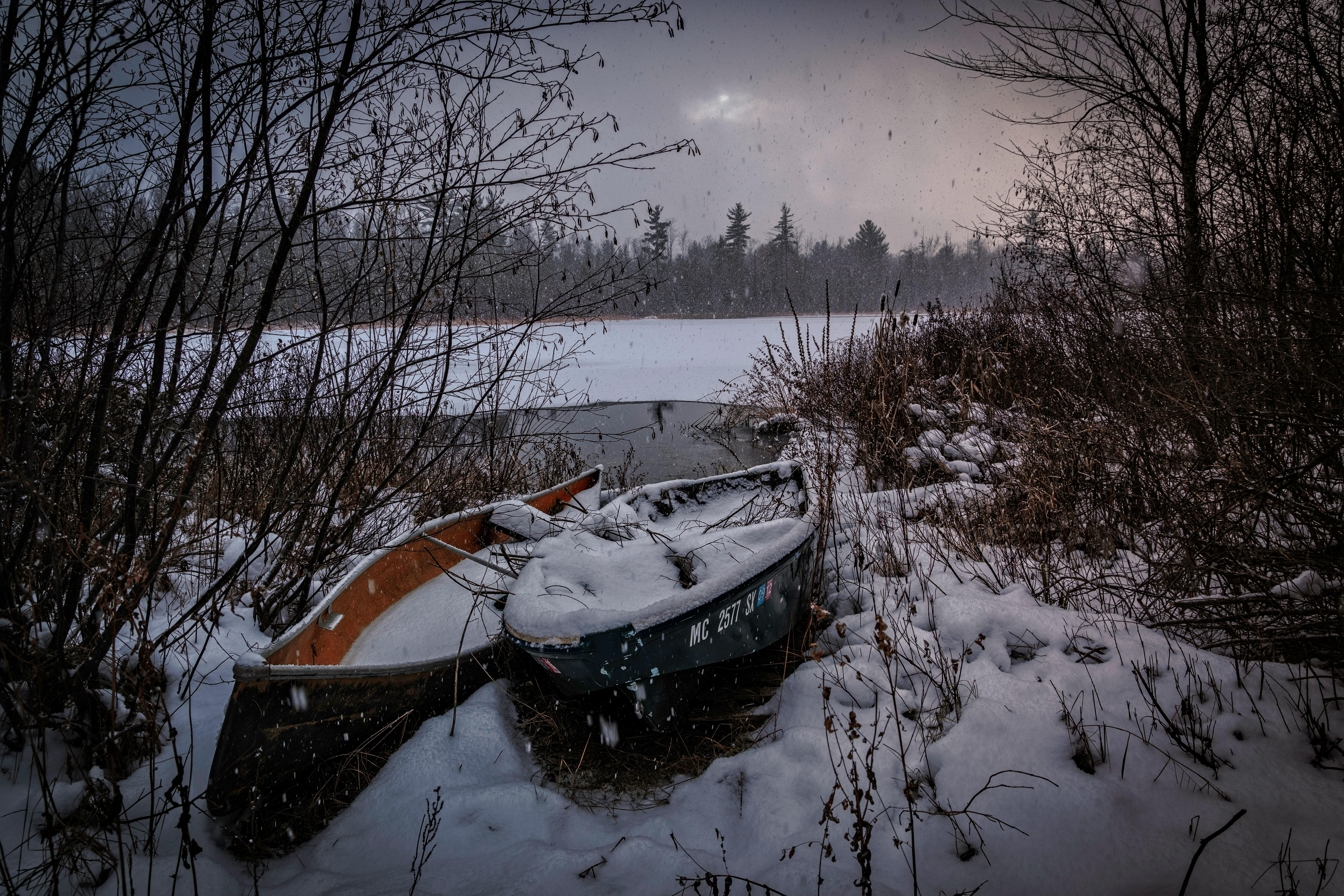 two black and brown canoes near trees