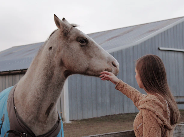 A happy rider gently brushing a chestnut horse wearing a colorful halter from Paardlicht.