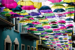 assorted-color umbrella lot