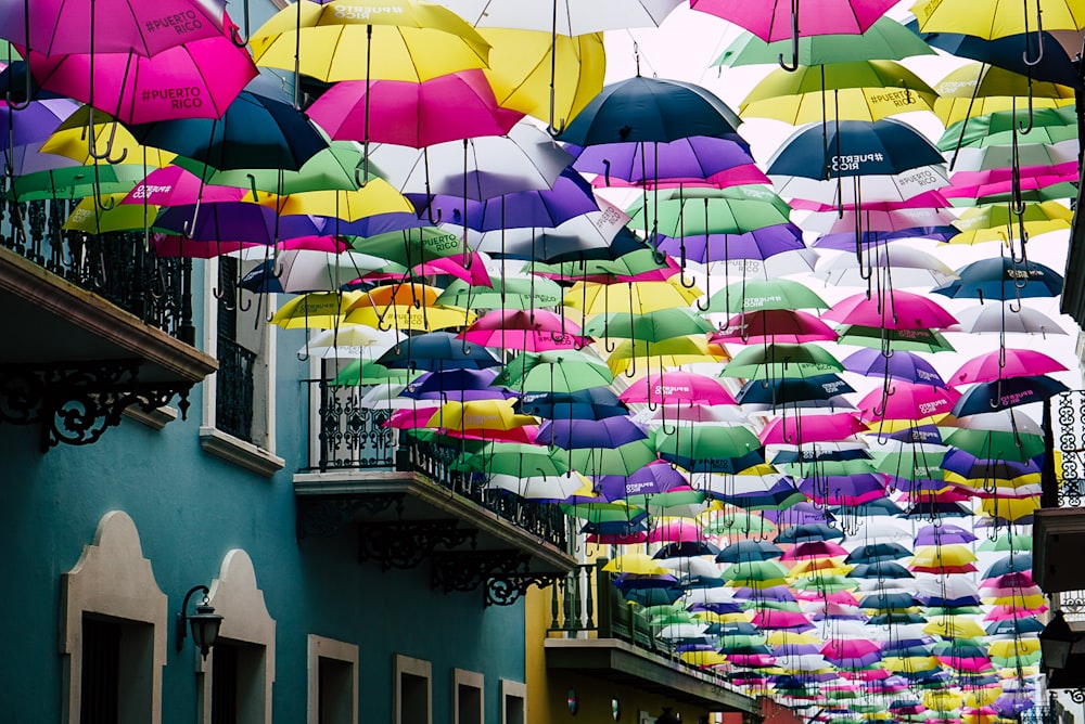 lot de parapluie de couleur assortie