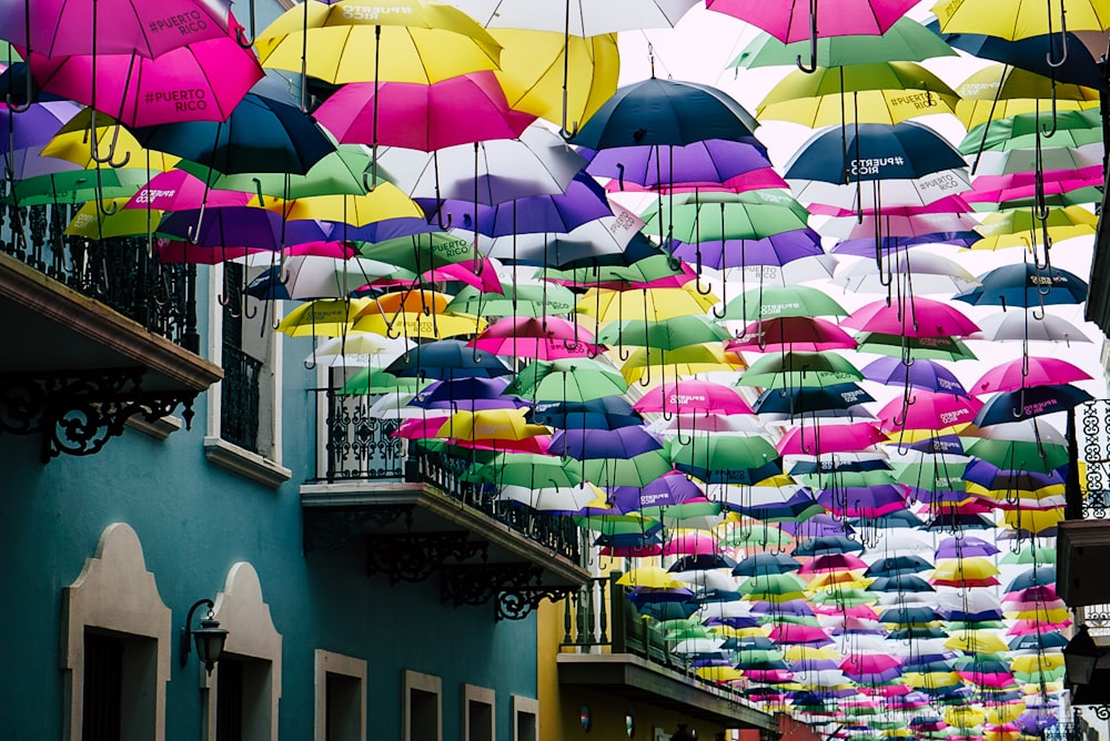 assorted-color umbrella lot