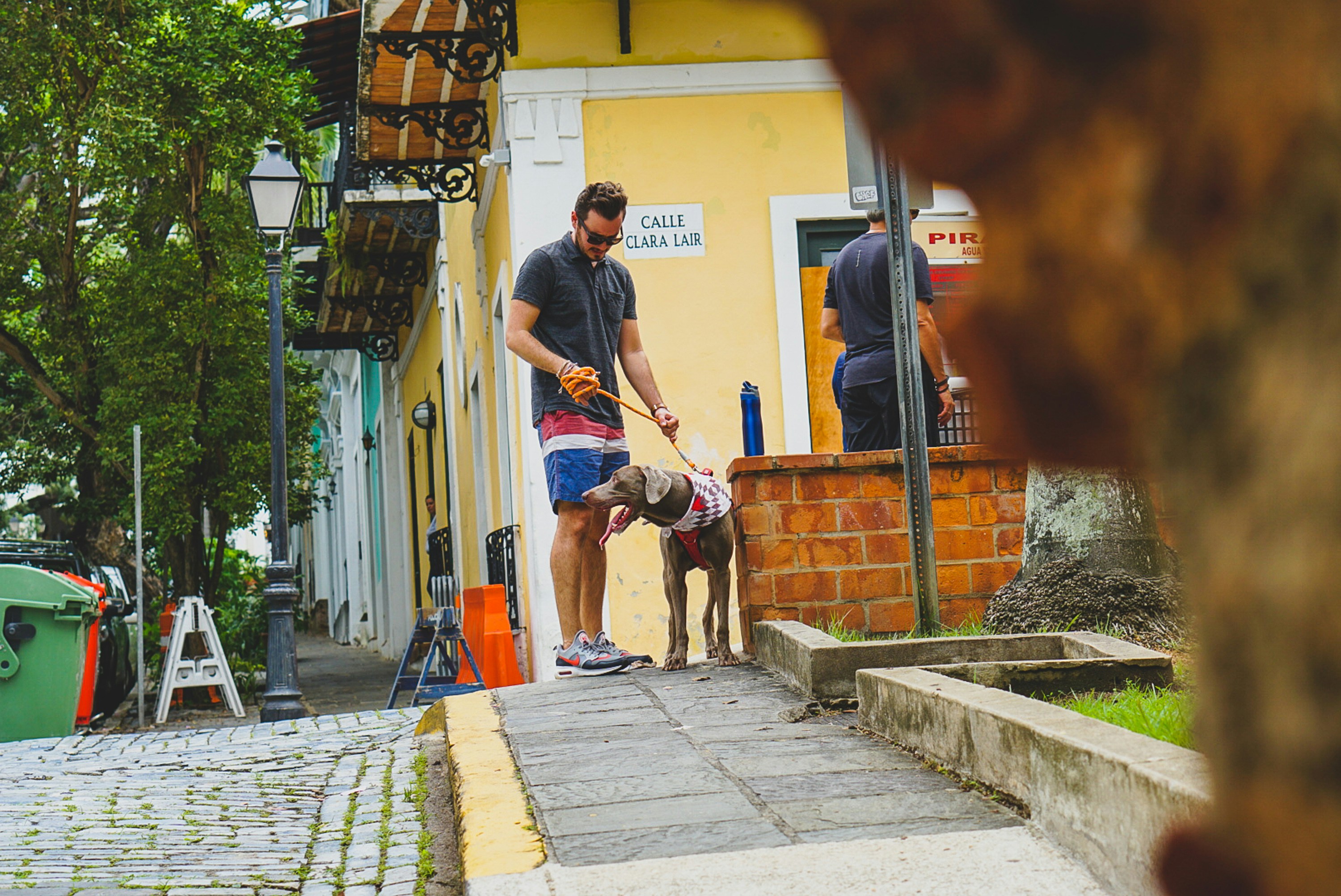 man with brown large dog on pathway