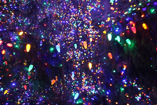 A dense array of colorful Christmas lights, featuring a mix of vibrant hues including blue, green, red, yellow, and orange. The lights appear to be strung in an outdoor setting, possibly on a tree, creating a festive and shimmering effect.