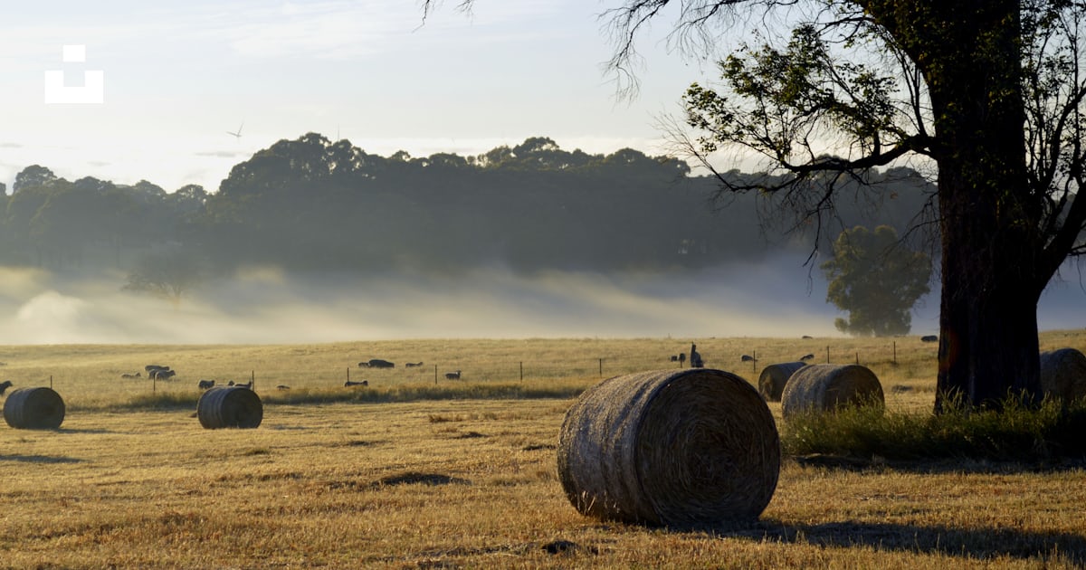Gray haystack near tree photo – Free Nature Image on Unsplash
