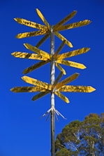 two blue and yellow butterfly decors