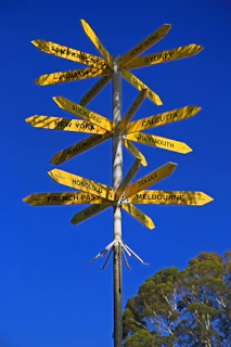 two blue and yellow butterfly decors