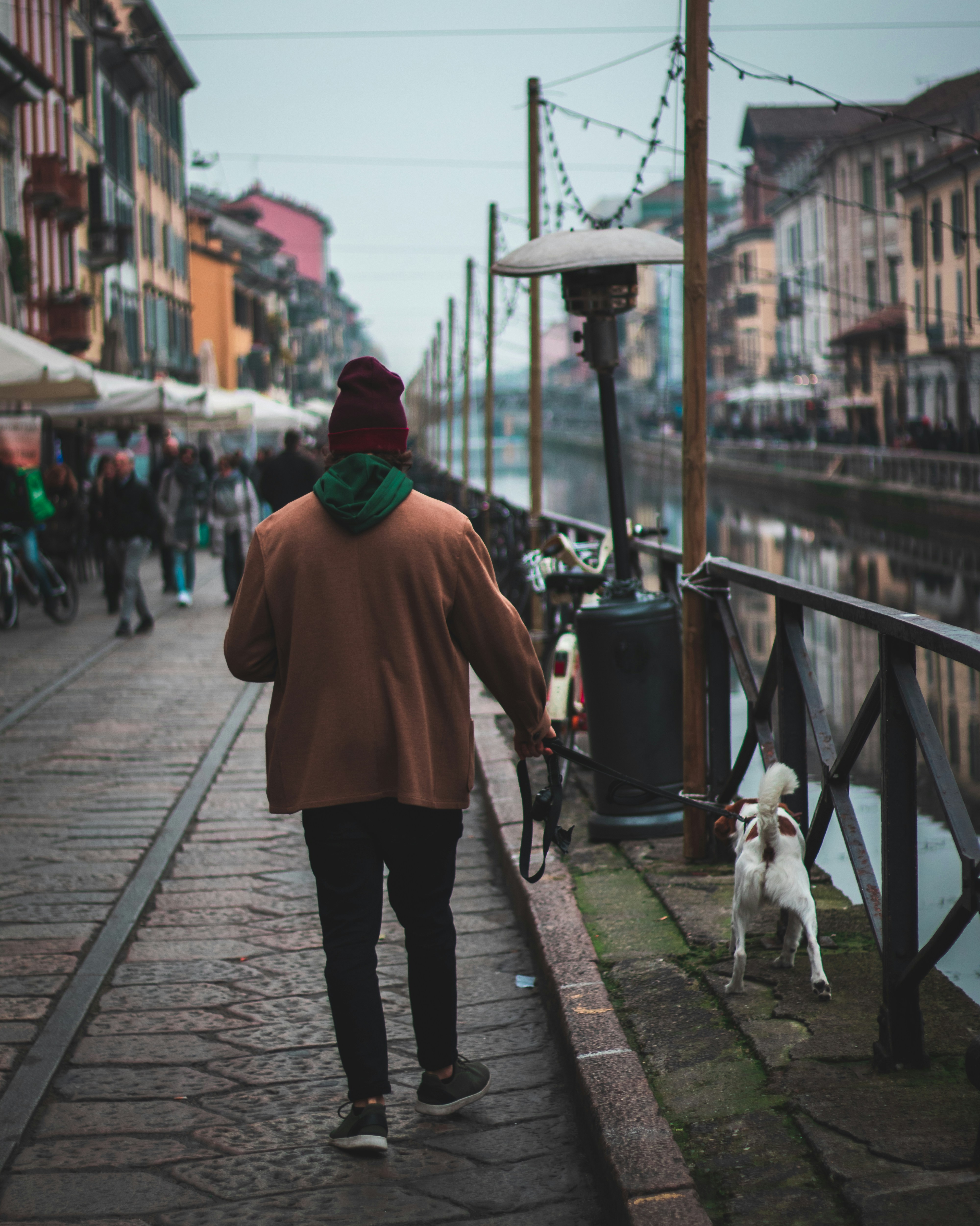 Walking the pup along the Milanese canals