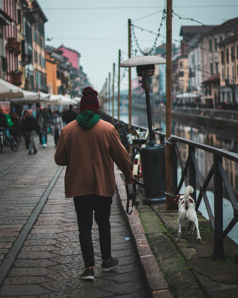 selective focus photo of man holding the leash of dog walking on the seaside promenade