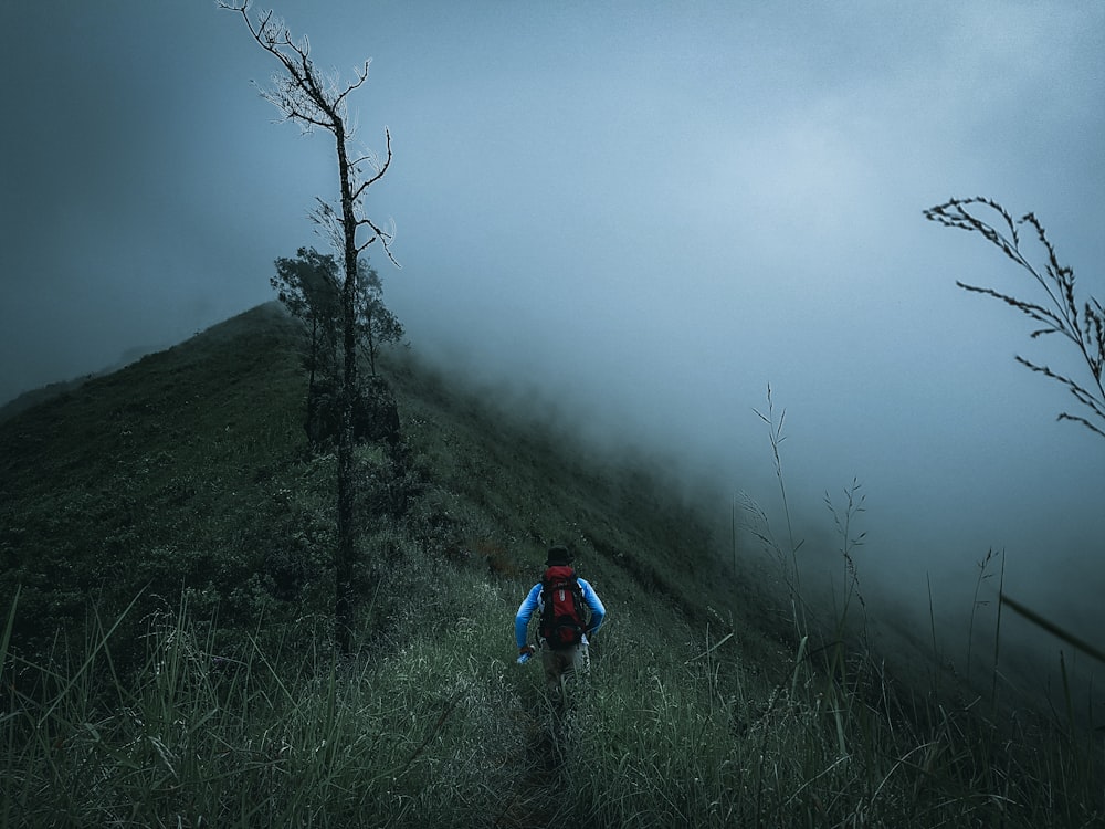 people hiking on foggy mountain