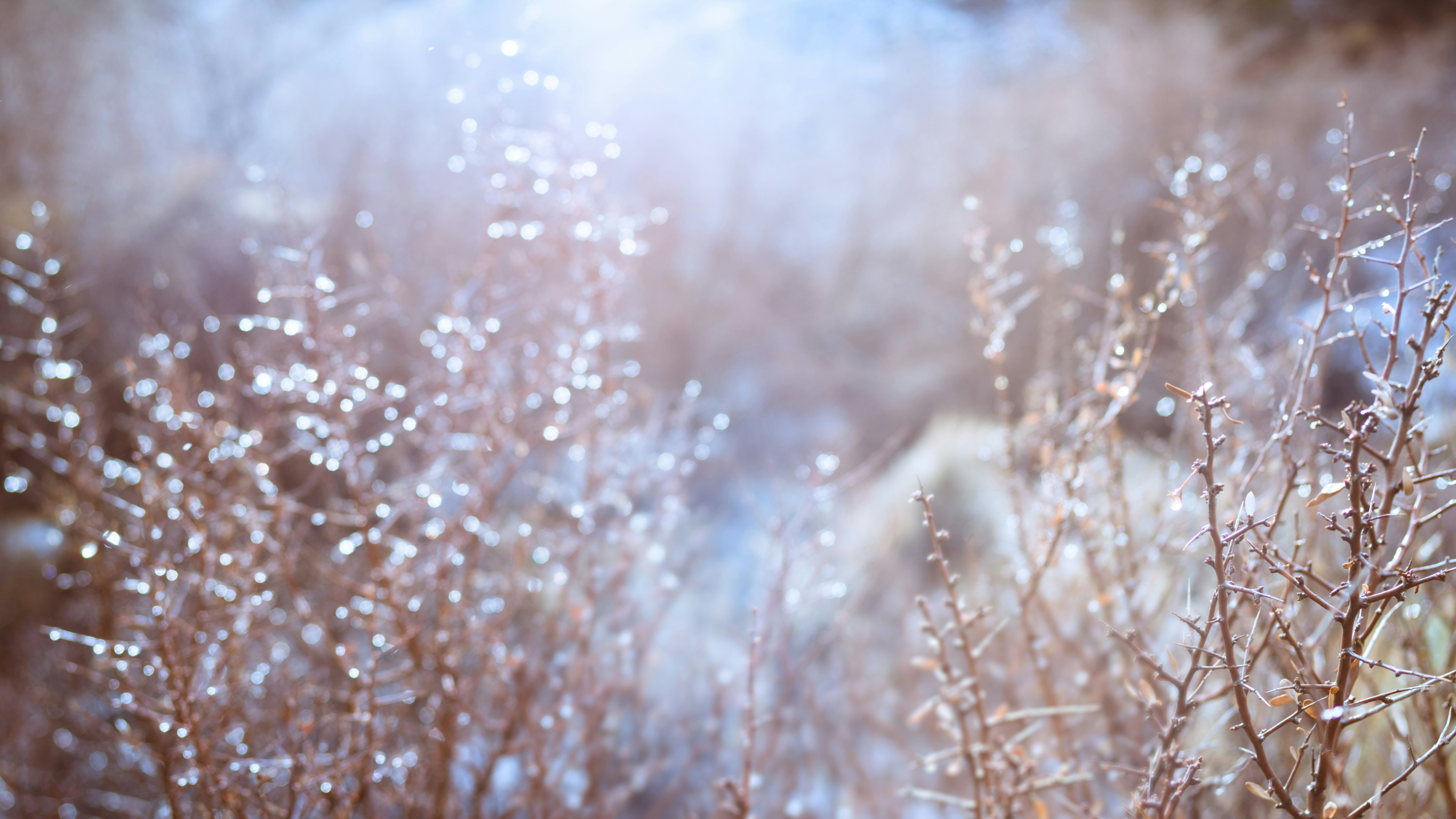 心靈世紀/心靈小品/生活智慧