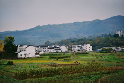 A rural landscape features a cluster of traditional white buildings with black-tiled roofs set against a backdrop of lush green hills. The foreground includes expansive fields with different crops, some covered in green vegetation, and a few scattered haystacks. A lone person is visible working in the fields, enhancing the serene countryside atmosphere.