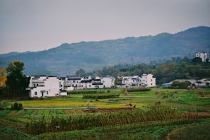 A rural landscape features a cluster of traditional white buildings with black-tiled roofs set against a backdrop of lush green hills. The foreground includes expansive fields with different crops, some covered in green vegetation, and a few scattered haystacks. A lone person is visible working in the fields, enhancing the serene countryside atmosphere.