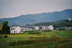 A rural landscape features a cluster of traditional white buildings with black-tiled roofs set against a backdrop of lush green hills. The foreground includes expansive fields with different crops, some covered in green vegetation, and a few scattered haystacks. A lone person is visible working in the fields, enhancing the serene countryside atmosphere.