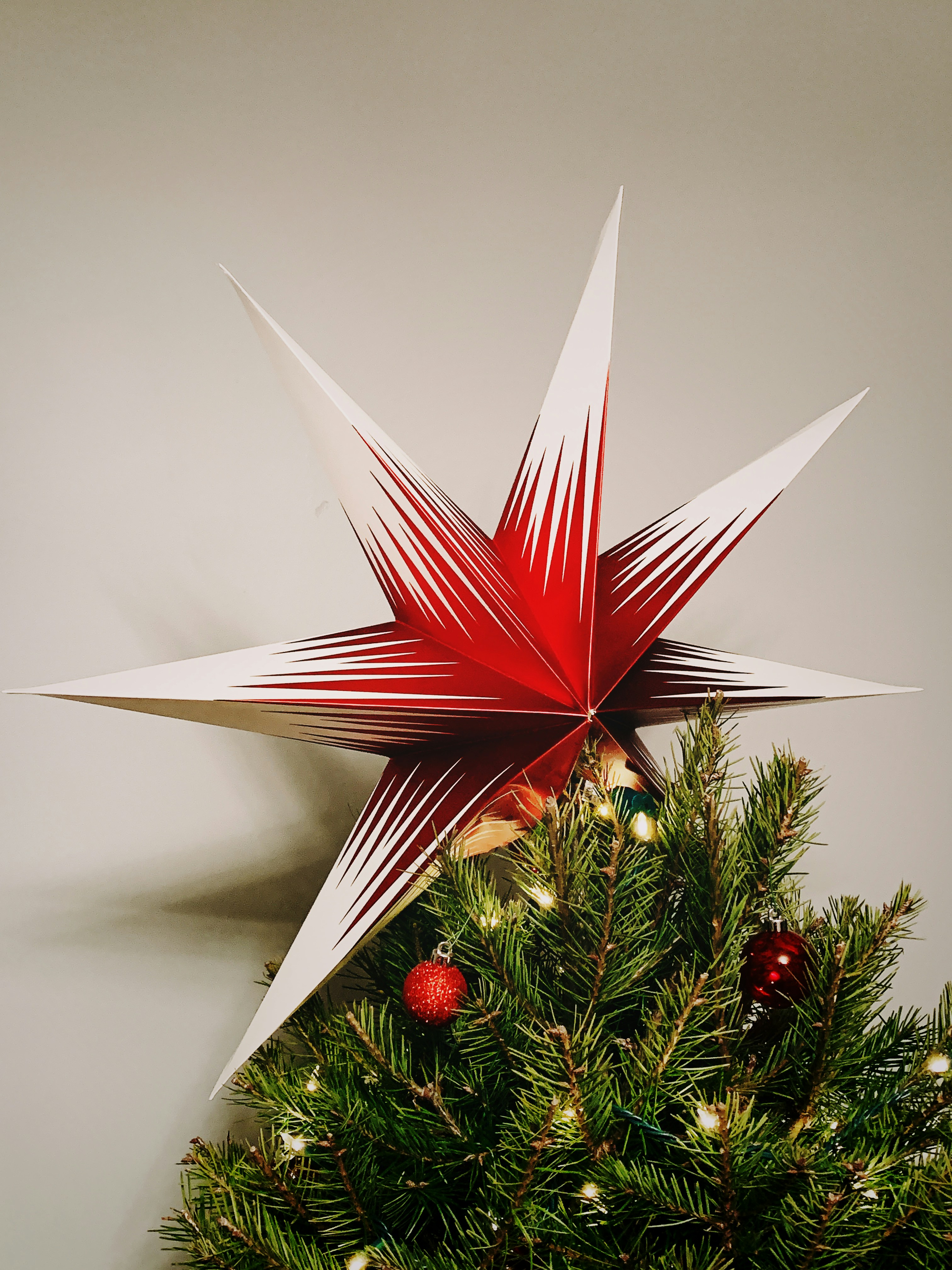 Red And White Star Tree Topper Photo Free Plant Image On