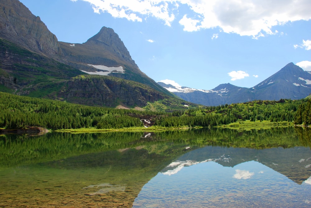 calm body of water in front of trees during daytime