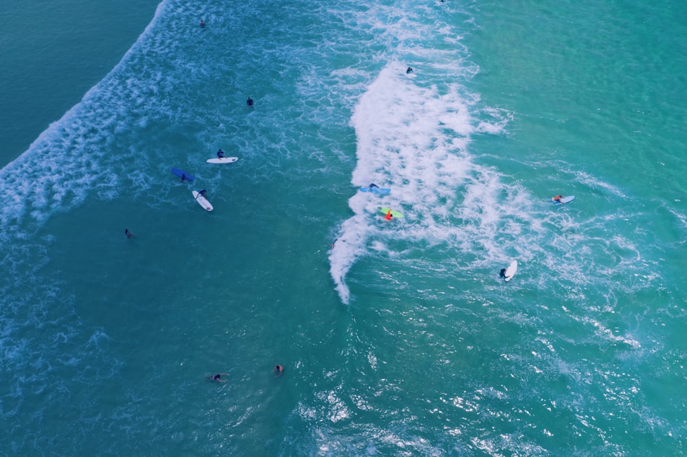 people on sea during daytime